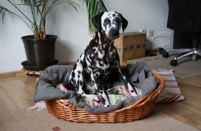 Ich pass da noch rein!