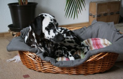 Ich darf's nicht behalten :-(