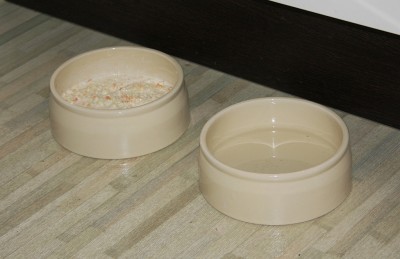Keramiknaäpfe für Hunde