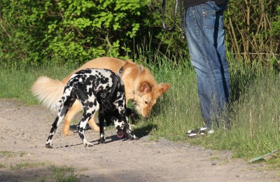 Angie und Jack