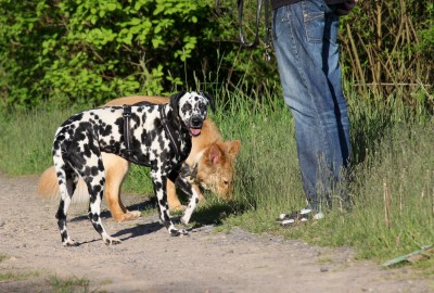 Angie und Jack