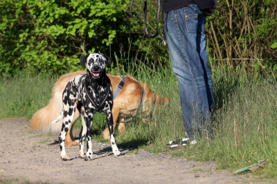 Angie und Jack