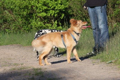 Angie und Jack