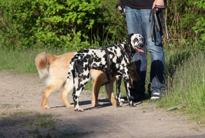 Angie und Jack