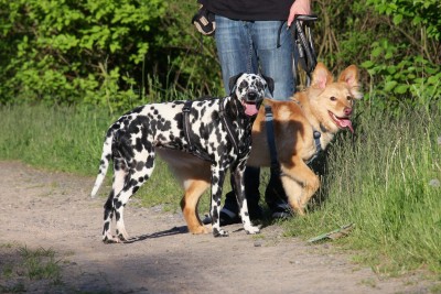 Angie und Jack
