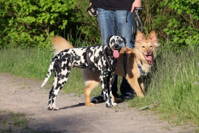 Angie und Jack