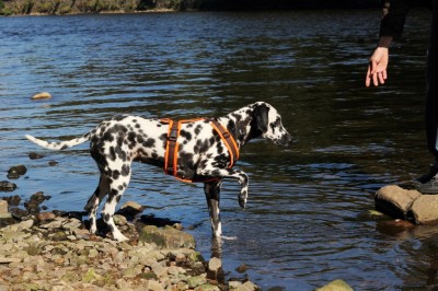 Igitt, Wasser!