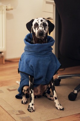 Hundebademantel FurDry von Furminator