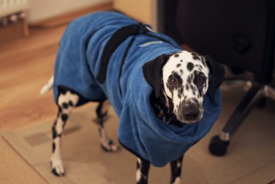 Hundebademantel FurDry von Furminator
