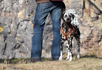 Herrchen und Hund