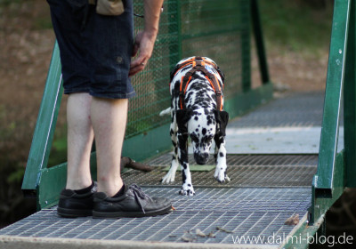 Angsttraining auf der Brücke