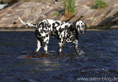 Wasserspaß