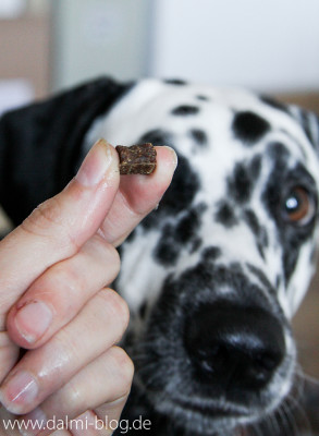 Allergodog Minis - klein aber fein