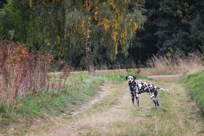Bereit für Abenteuer