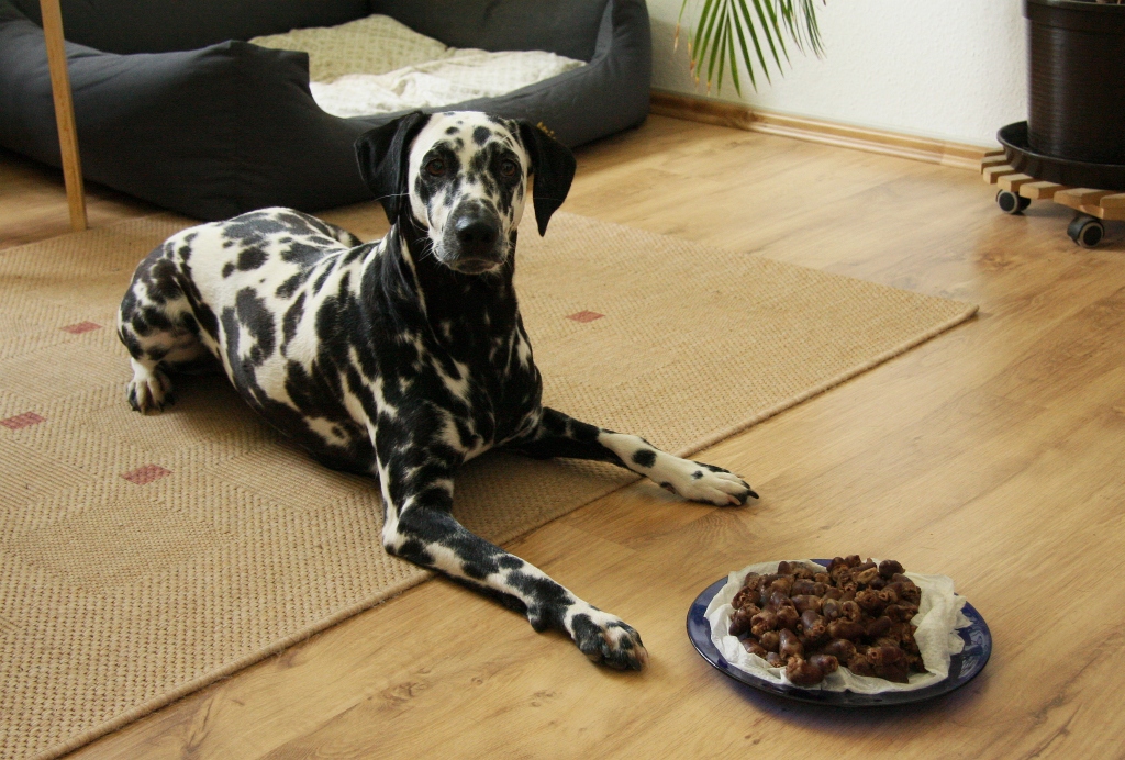 Hühnerherzen für den Hund