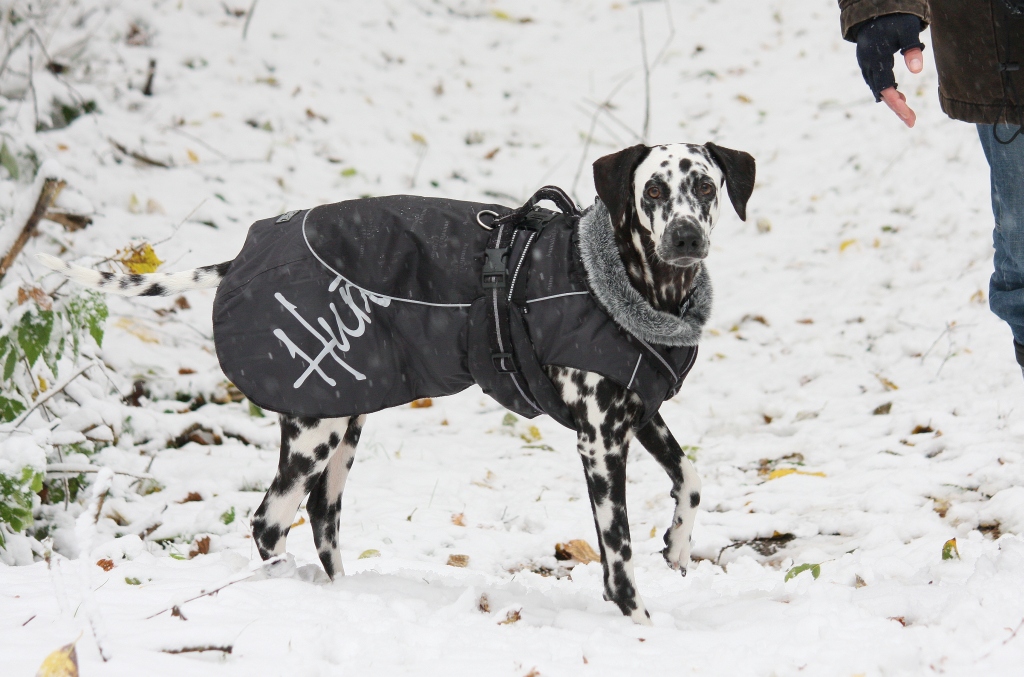 Hurtta Hundemantel Pro